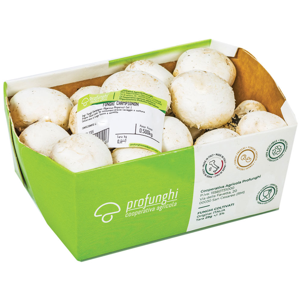 Funghi champignon 500 gr