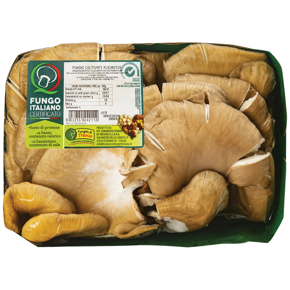 Funghi pleurotus coltivati 500 gr