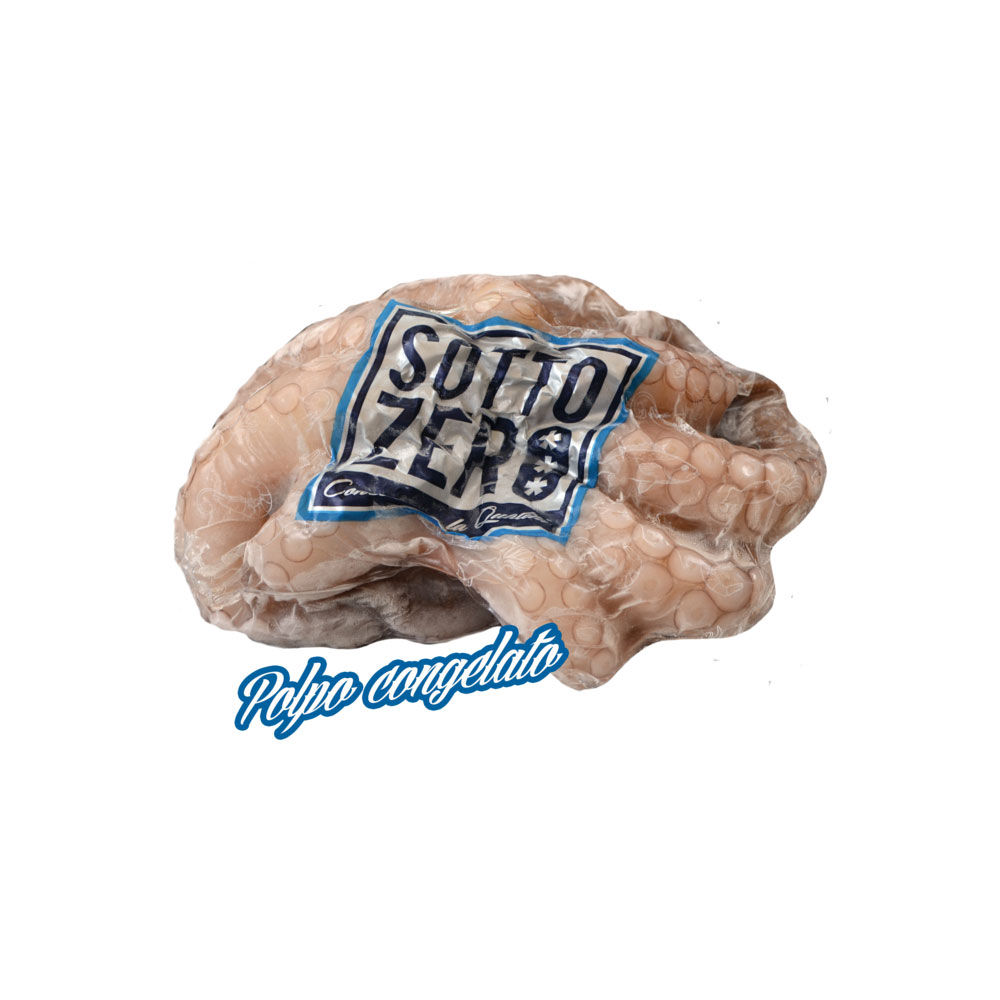 Polpo congelato 500 gr circa