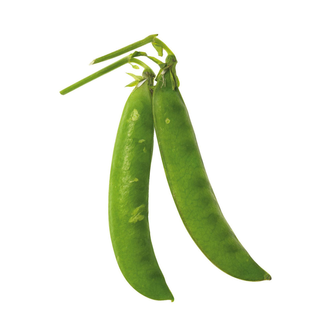 Piselli freschi 500 gr - Immagine 01