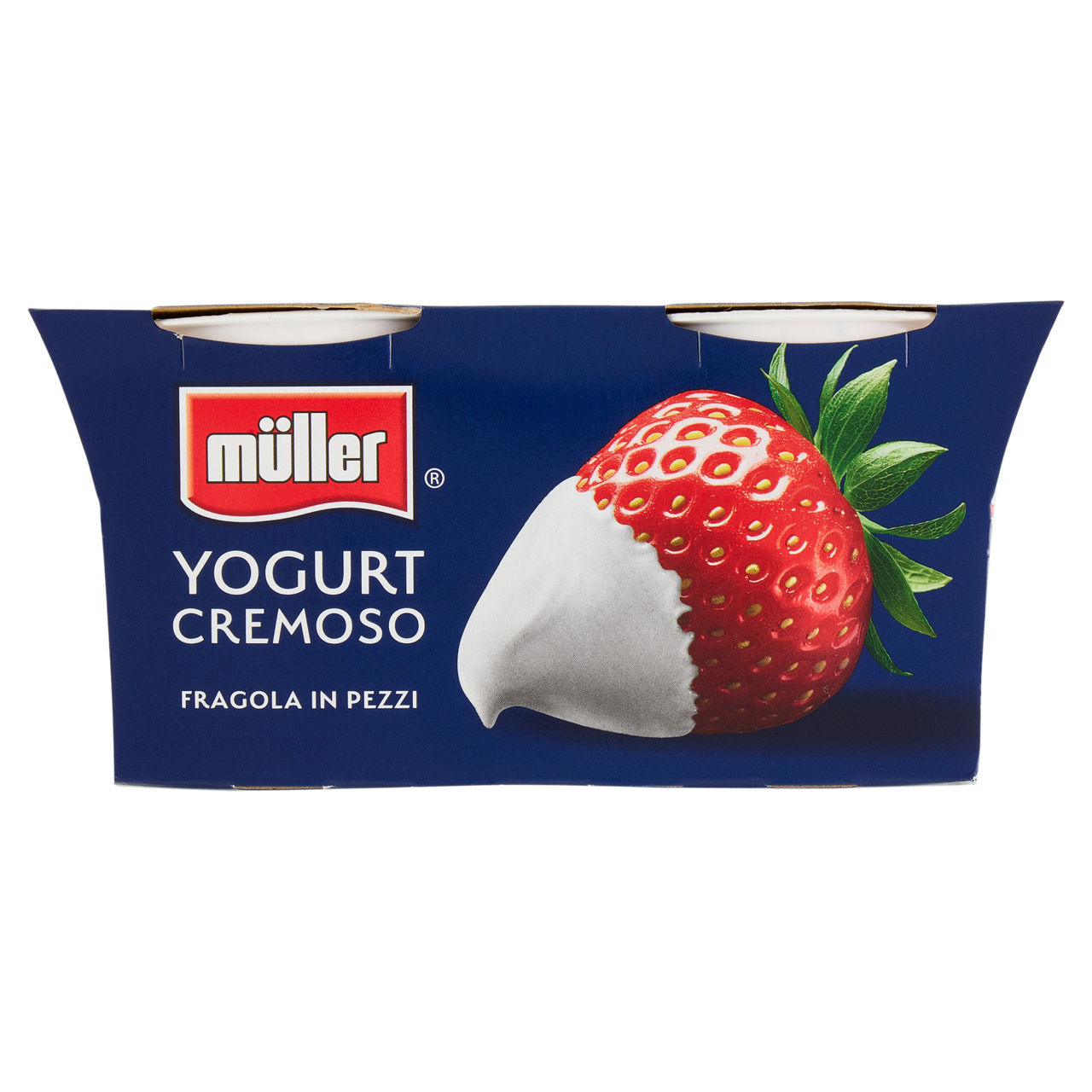 Yogurt cremoso con fragola in pezzi 2 pz da 125 gr