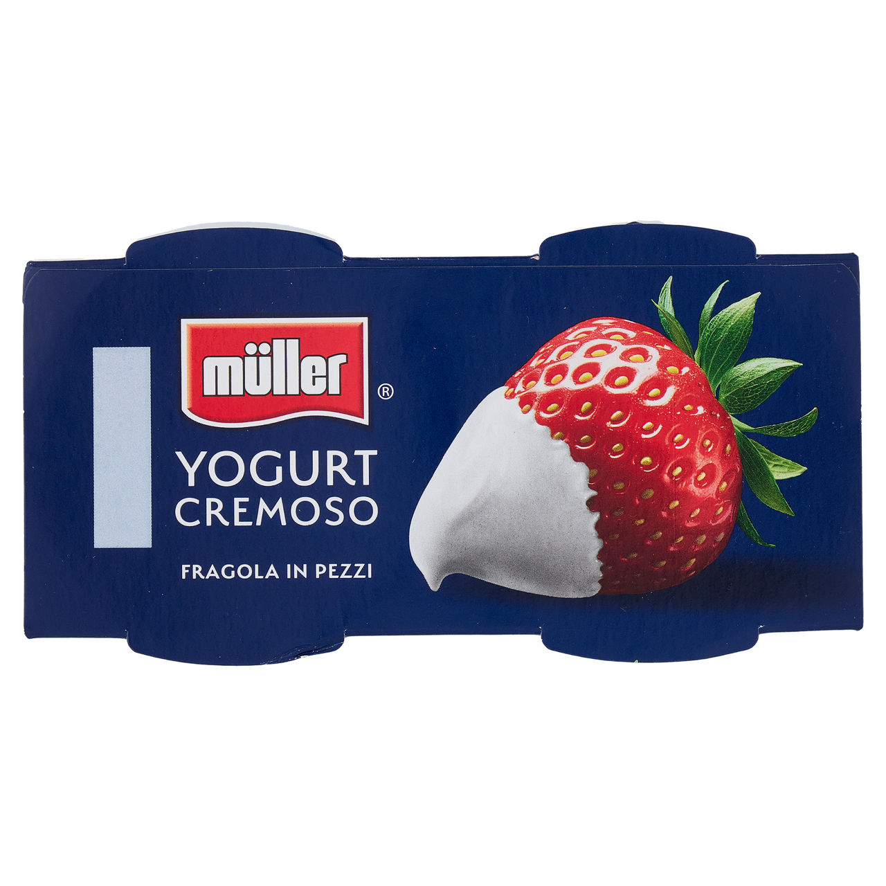 Yogurt cremoso con fragola in pezzi 2 pz da 125 gr - Immagine 21