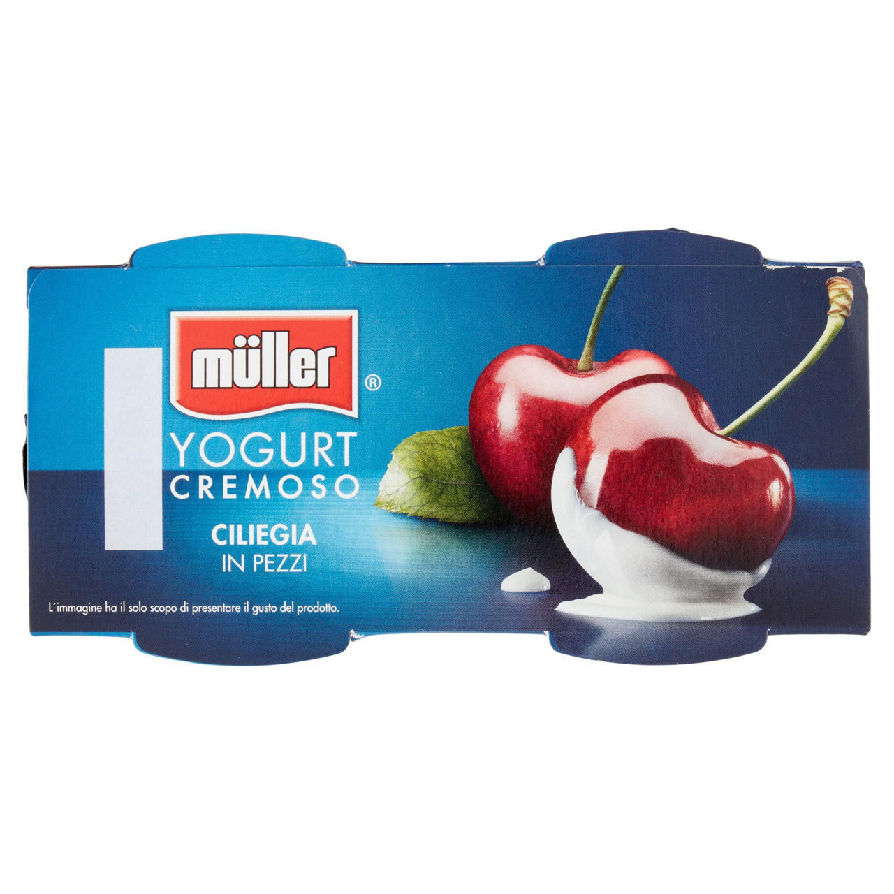 Yogurt cremoso ciliegia in pezzi 2 pz da 125 gr - Immagine 11