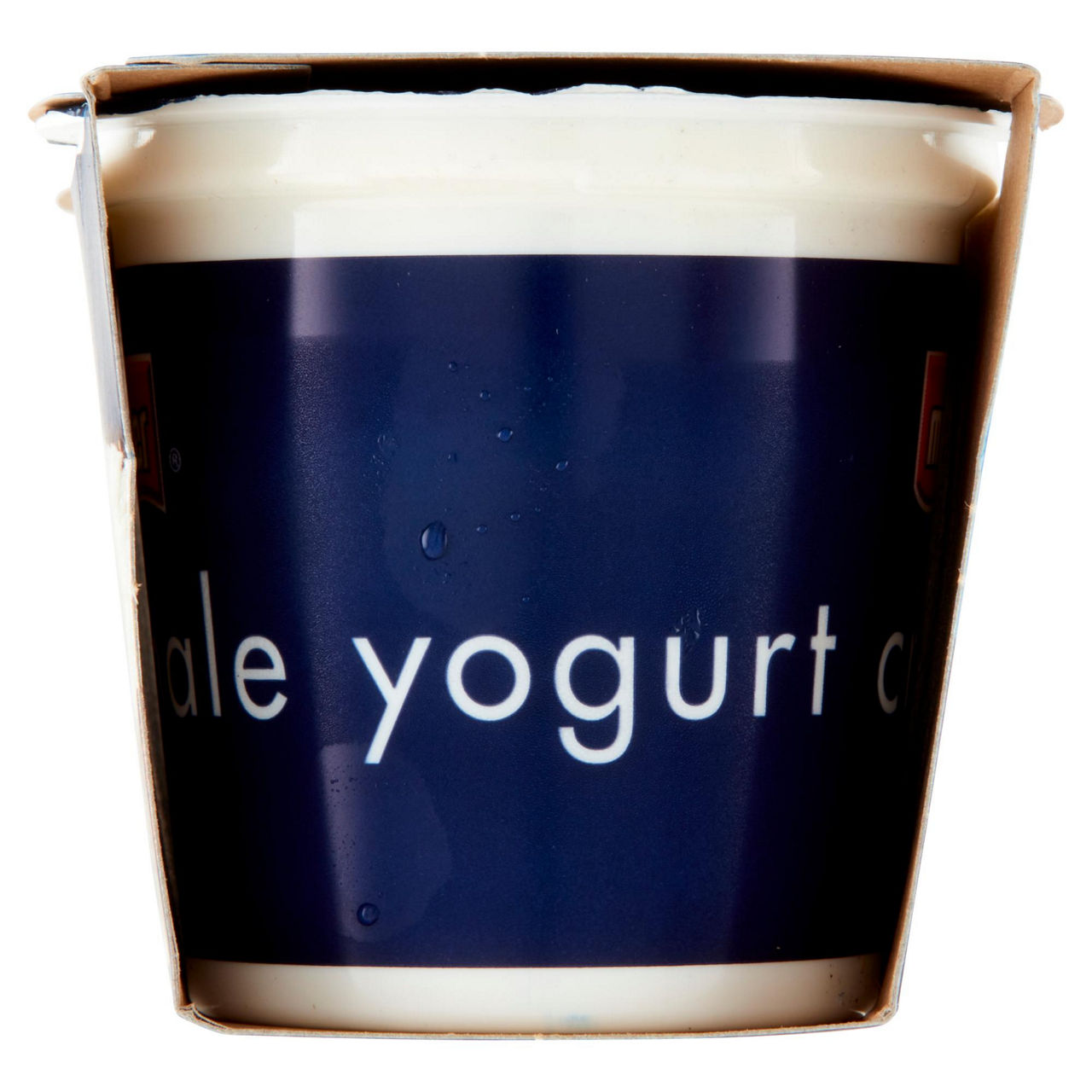 Yogurt cremoso cocco in pezzi 2 pz da 125 gr - Immagine 11