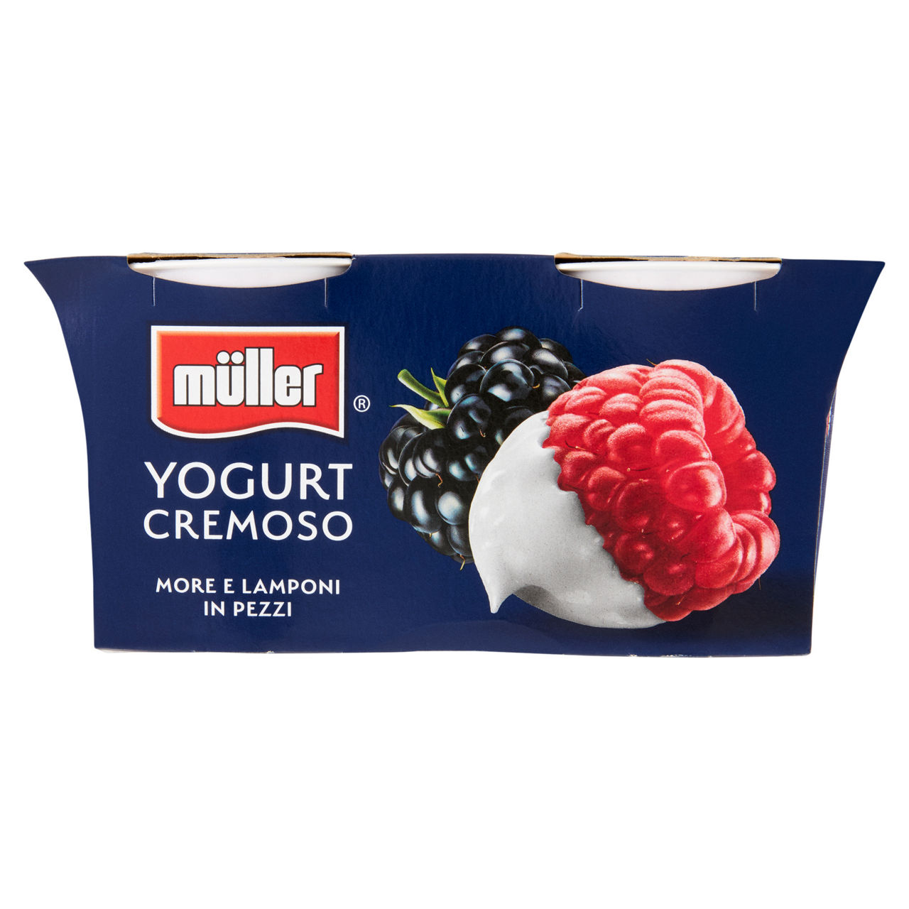 Yogurt cremoso more e lamponi in pezzi 2 pz da 125 gr