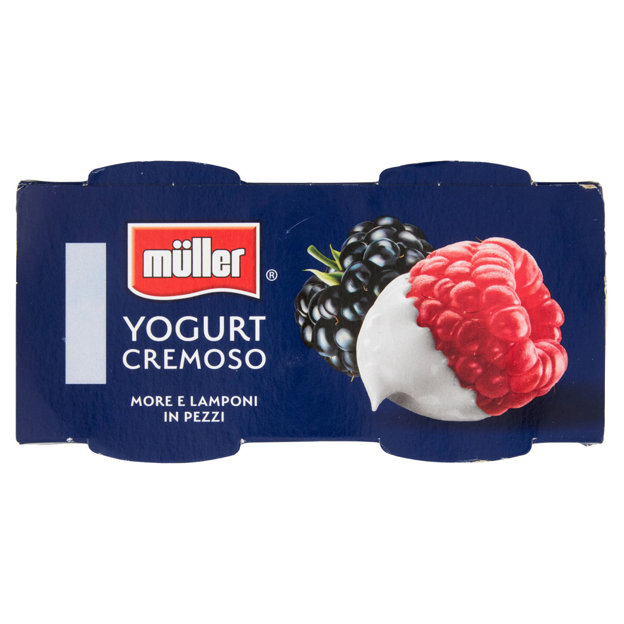Yogurt cremoso more e lamponi in pezzi 2 pz da 125 gr - Immagine 51