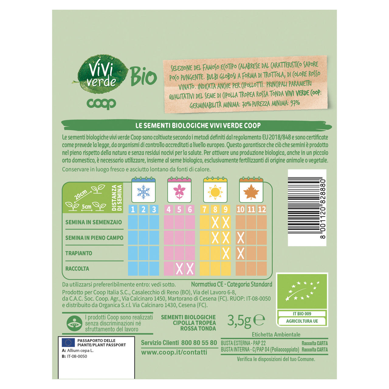Sementi cipolla Tropea rossa tonda bio 3,5 gr - Immagine 11
