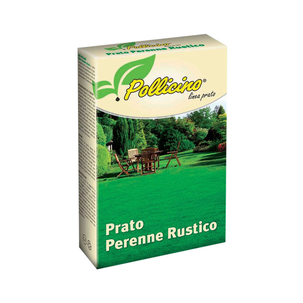 Prato perenne rustico pollicino 500g