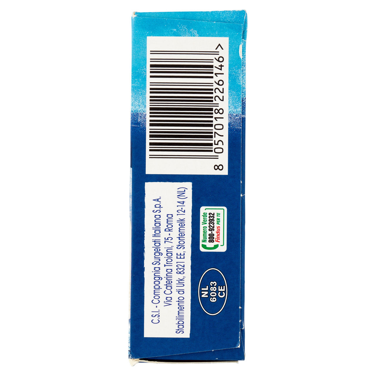 Filetti di platessa del Pacifico surgelati 250 gr - Immagine 21