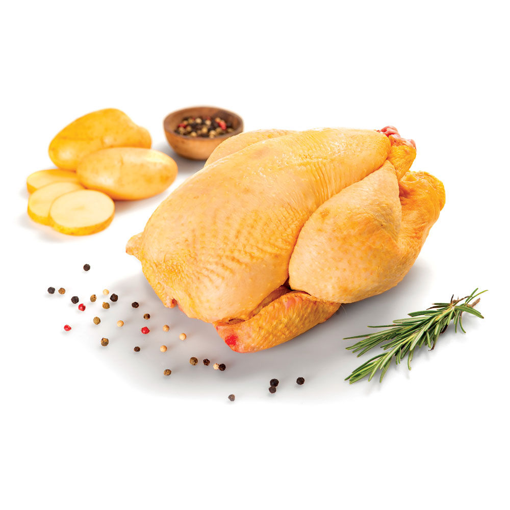 Busto di pollo