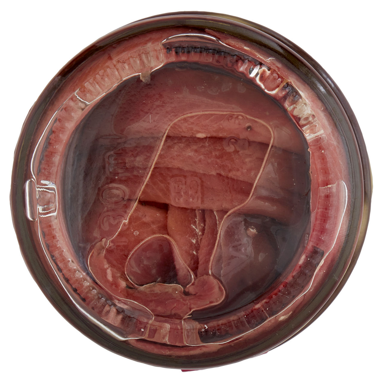 Filetti di alici del mar cantabrico con olio di oliva 110 gr - Immagine 21