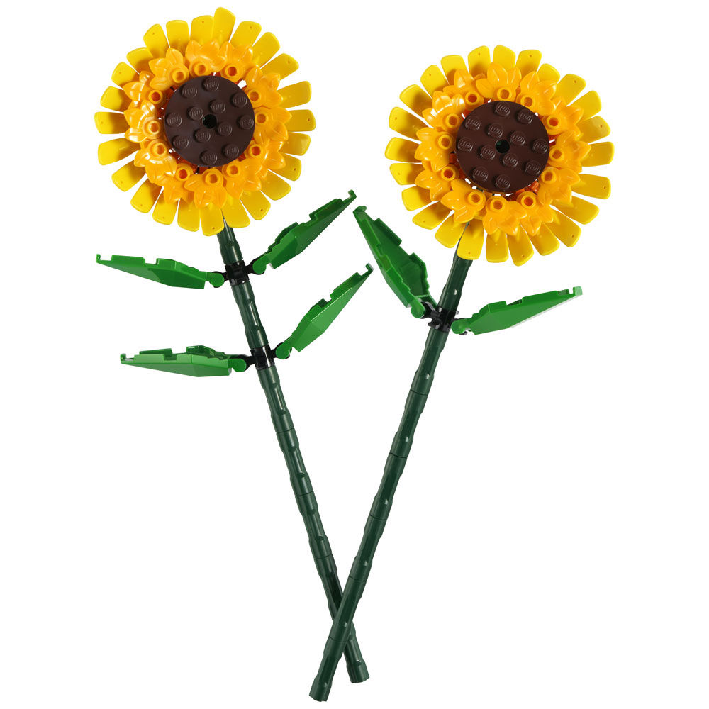 Girasoli Botanicals 40524 - Immagine 11