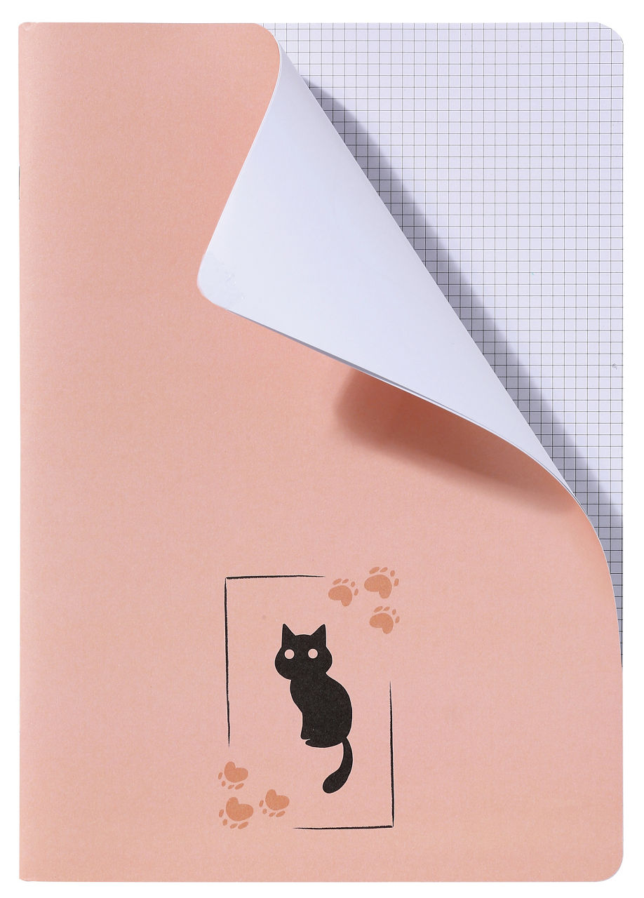 Maxi quaderno recycled rigatura 4 mm 80 gr