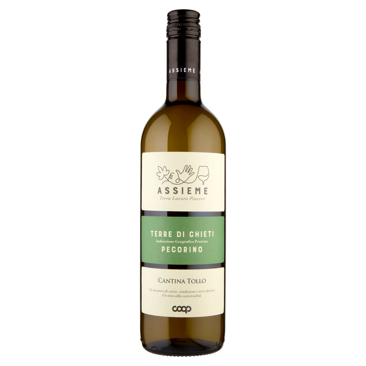 Vino bianco Terre di Chieti IGP Pecorino 750 ml - Immagine 01