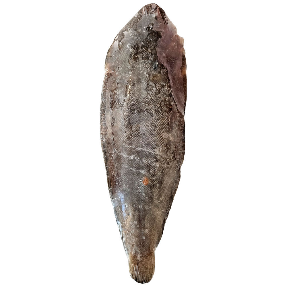 Sogliola intera 180 gr