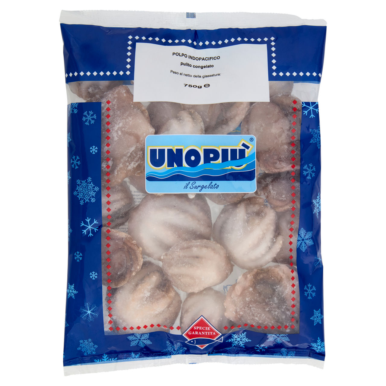 Polpo Indopacifico pulito e congelato 750 gr