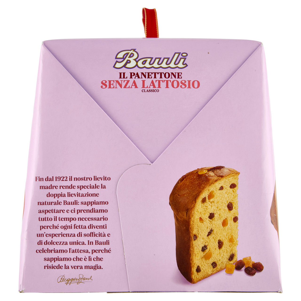 Panettone classico senza lattosio 700 gr - Immagine 21