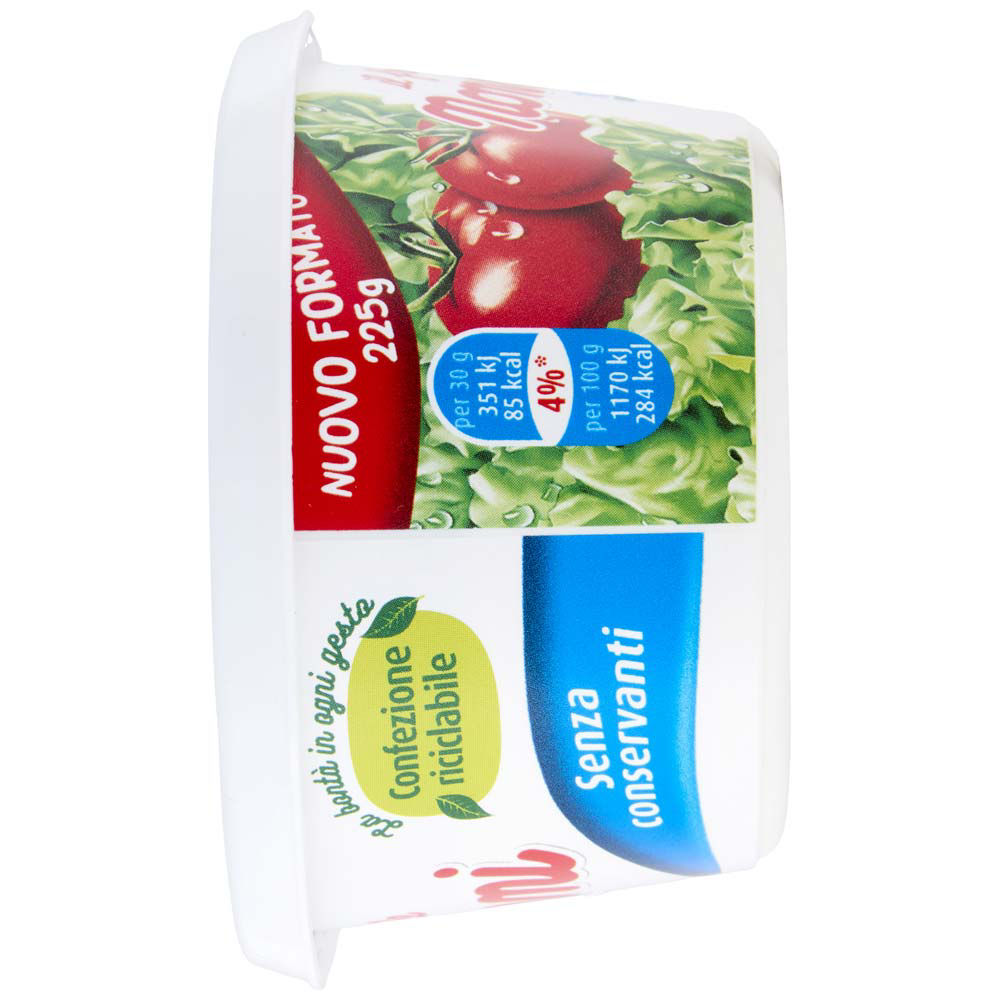 Formaggio fresco spalmabile 225 gr - Immagine 31