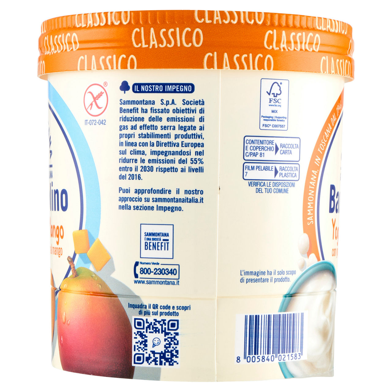 Gelato yogurt e mango 500 gr - Immagine 11