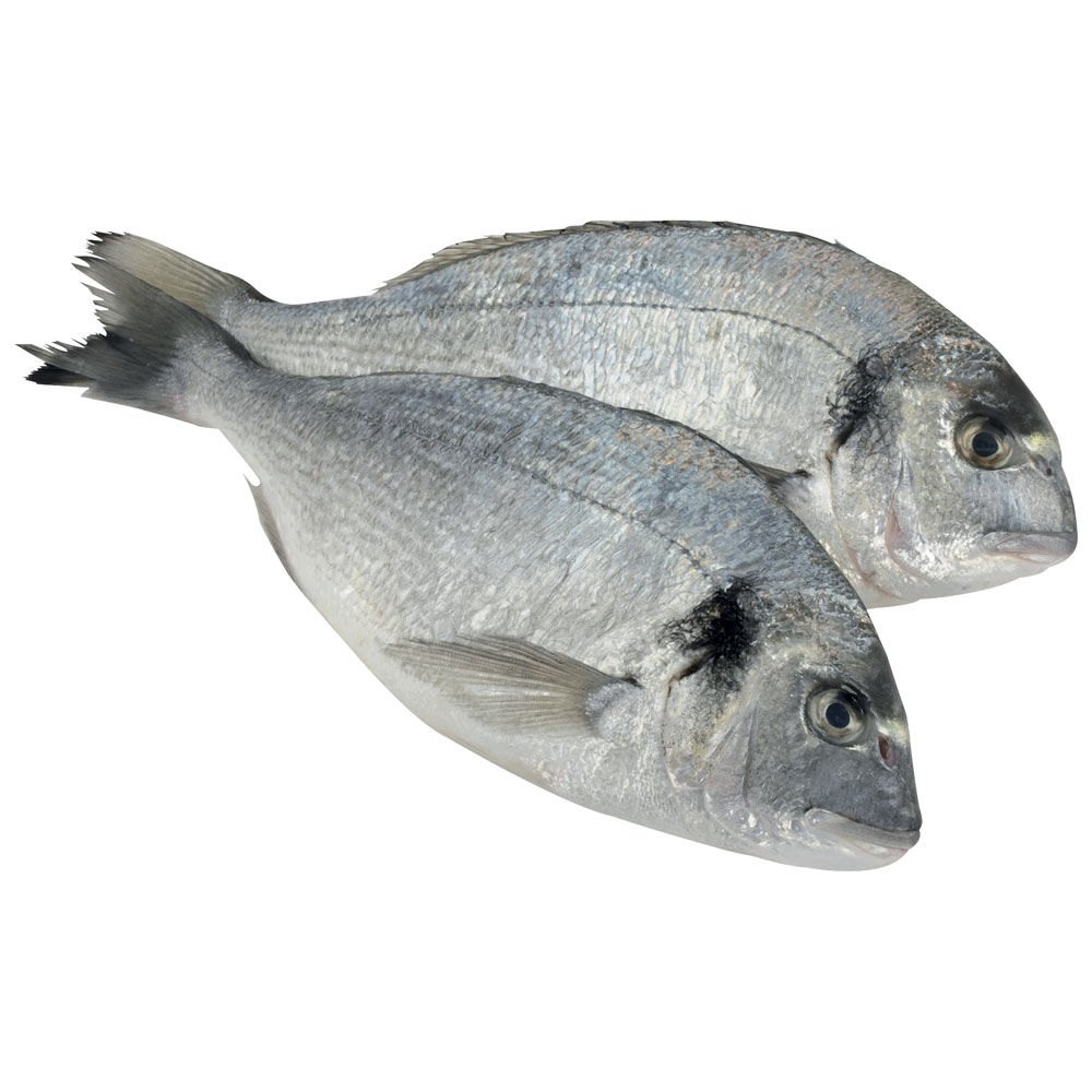 Orate allevate Croazia