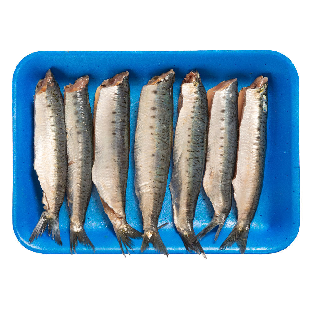 Tronchetto di sarda