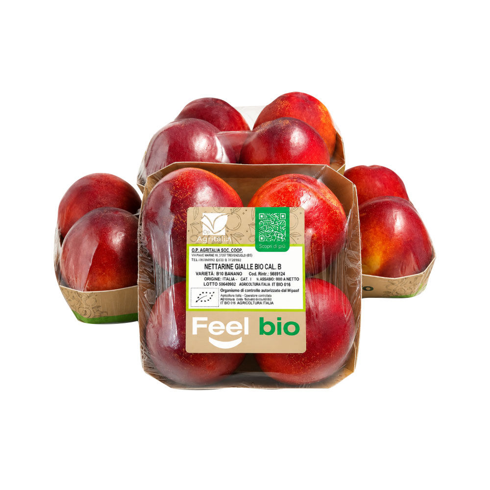 Nettarine gialle bio 500 gr
