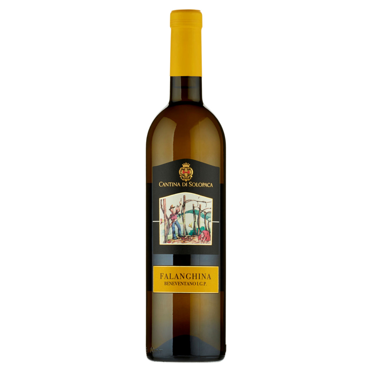 Vino bianco Falanghina Beneventano IGP 750 ml - Immagine 01