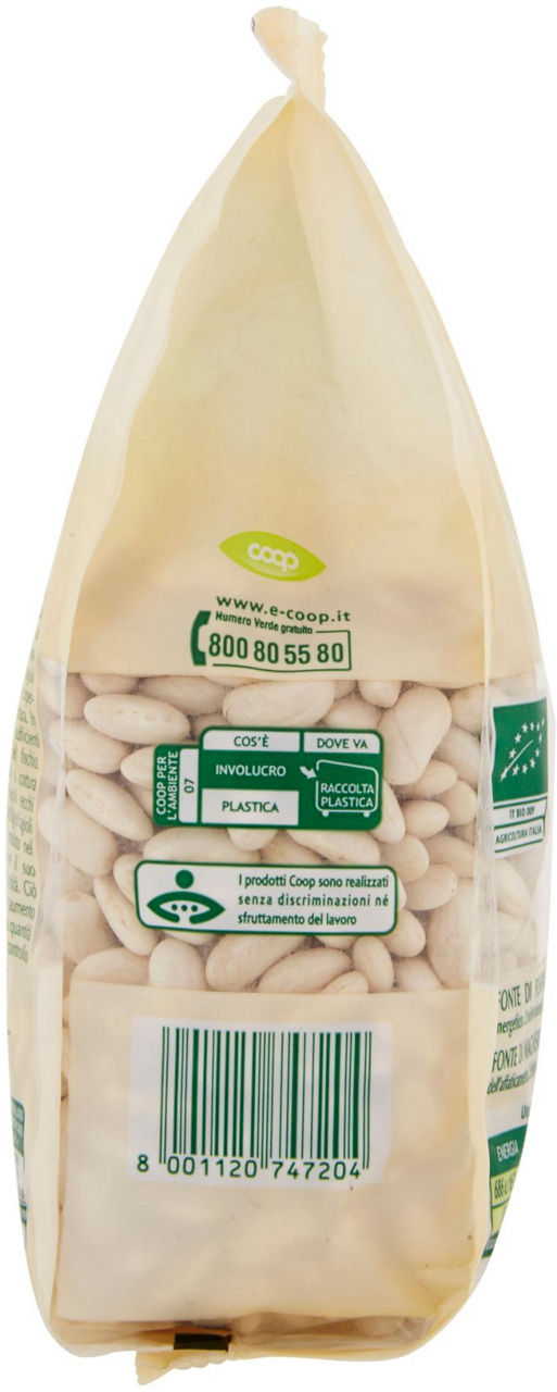 fagioli cannellini Biologici Vivi Verde 400 g - 2