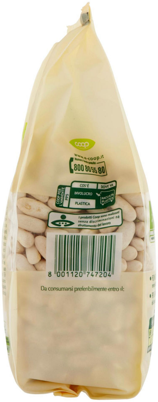 fagioli cannellini Biologici Vivi Verde 400 g - 3