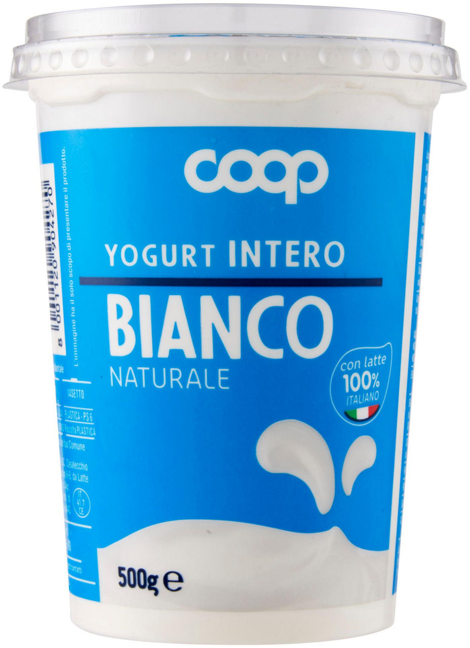 Yogurt intero bianco 500 gr - Immagine 71