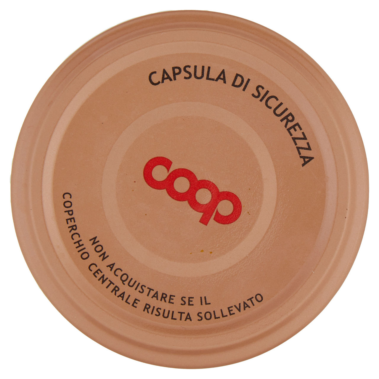 CAPPERI COOP AL SALE MARINO VASO VETRO GR.130 - Immagine 41