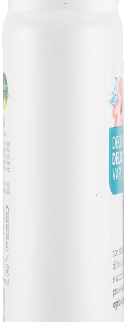 Deodorante Delicato Vapo Vivi Verde 75 ml - 1