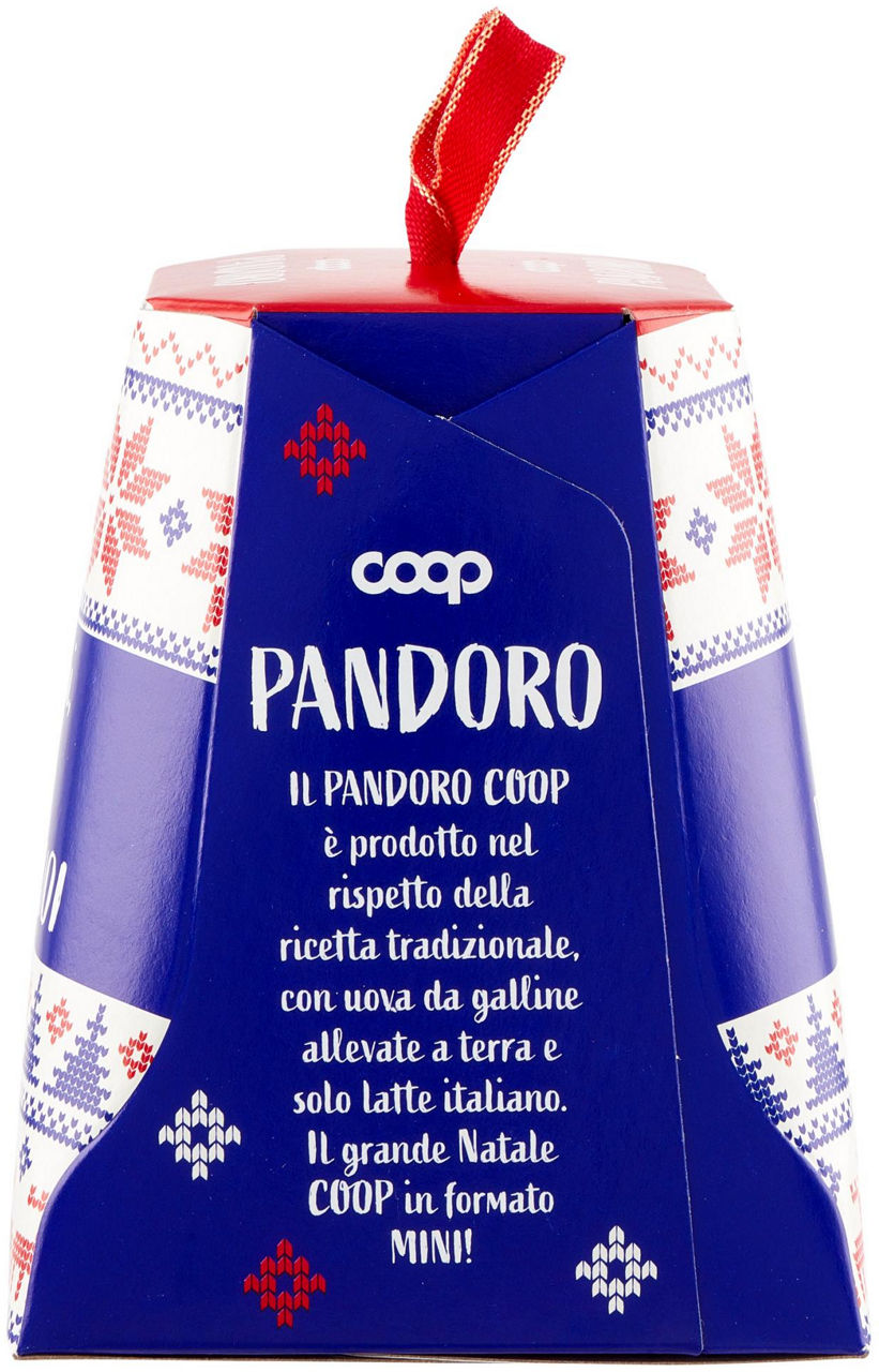 Mini pandoro 90 gr - Immagine 11