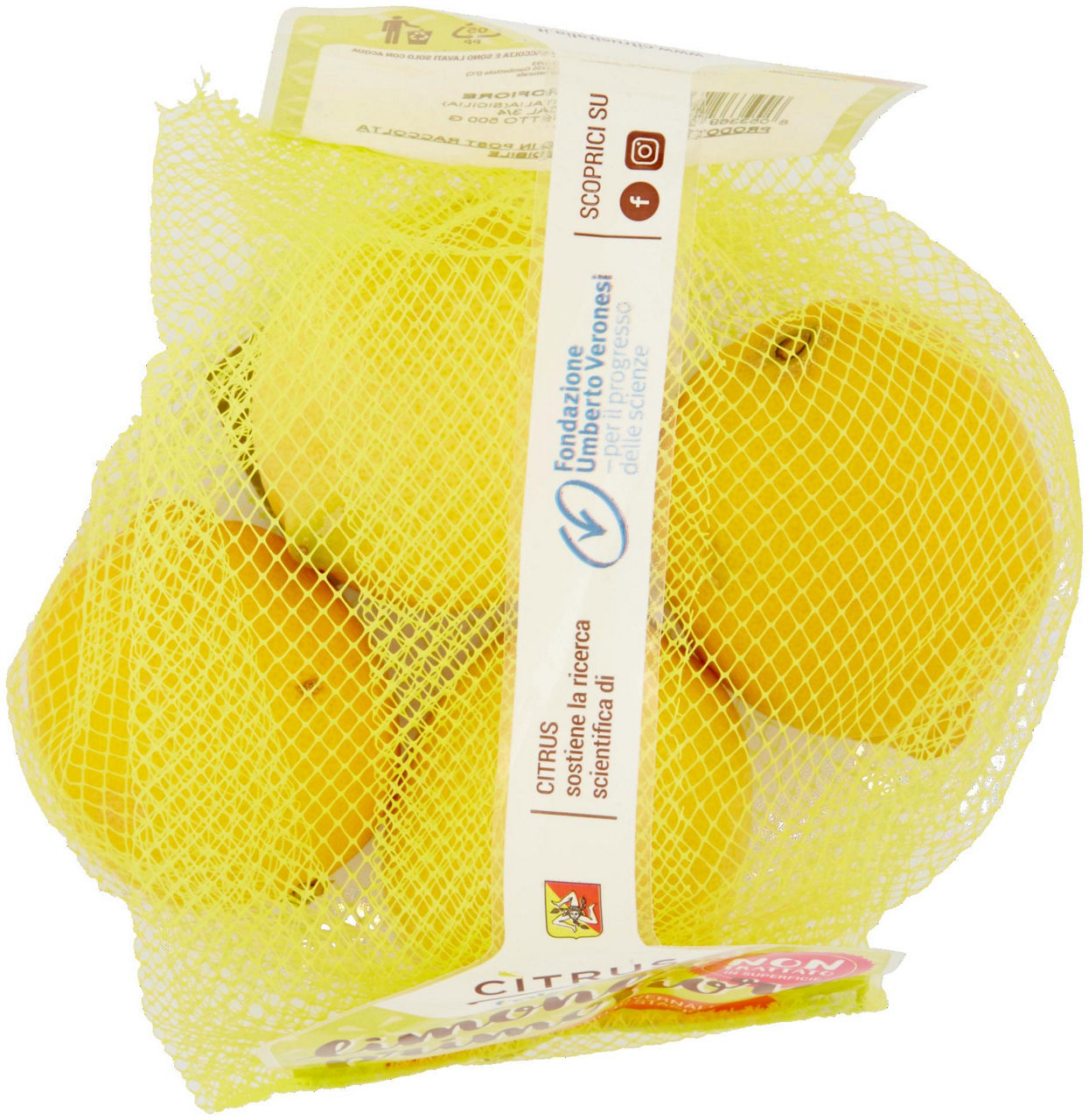 Limoni primofiore buccia edibile gr 500 - 4