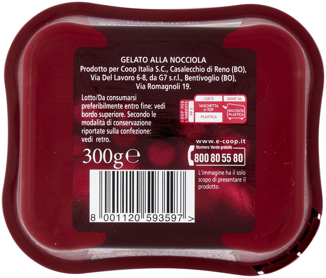 GELATO NOCCIOLA PIEMONTE IGP FIOR FIORE COOP GR 300 - Immagine 51