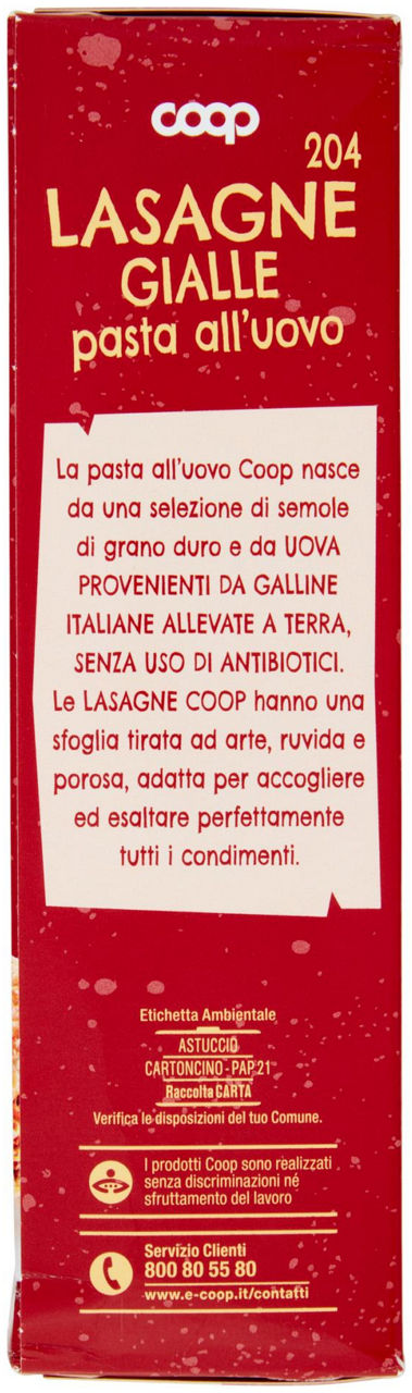 Lasagne gialle 204 pasta all'uovo 500 g - 1