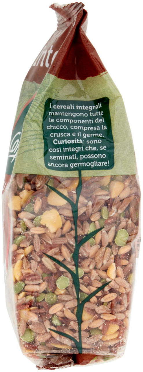 Mix di Cereali Integrali e Legumi 350 g - Immagine 31