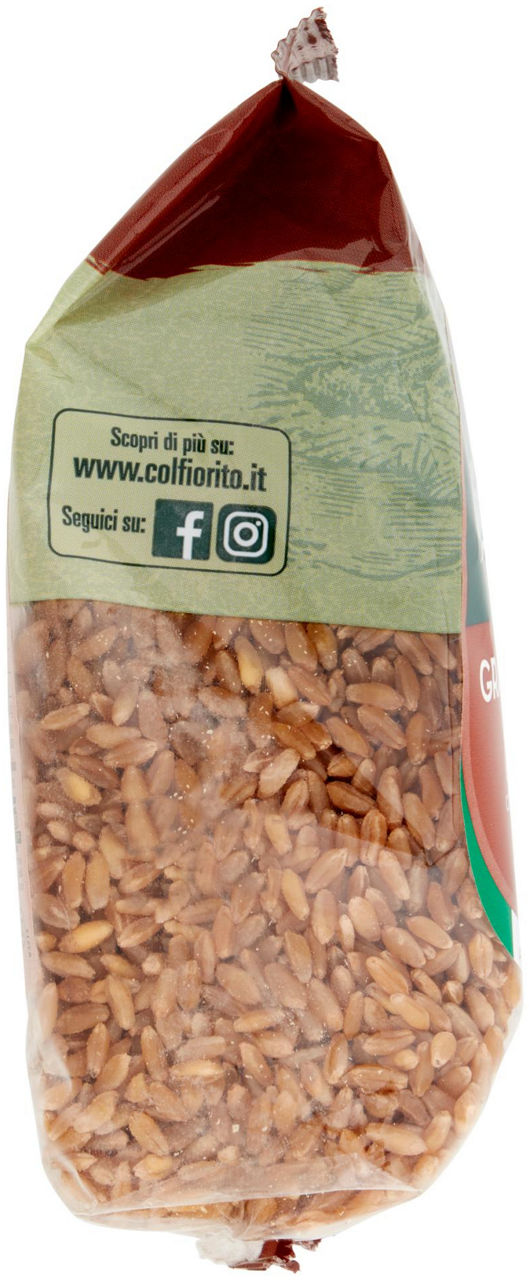 Grano duro integrale 350 gr - Immagine 11