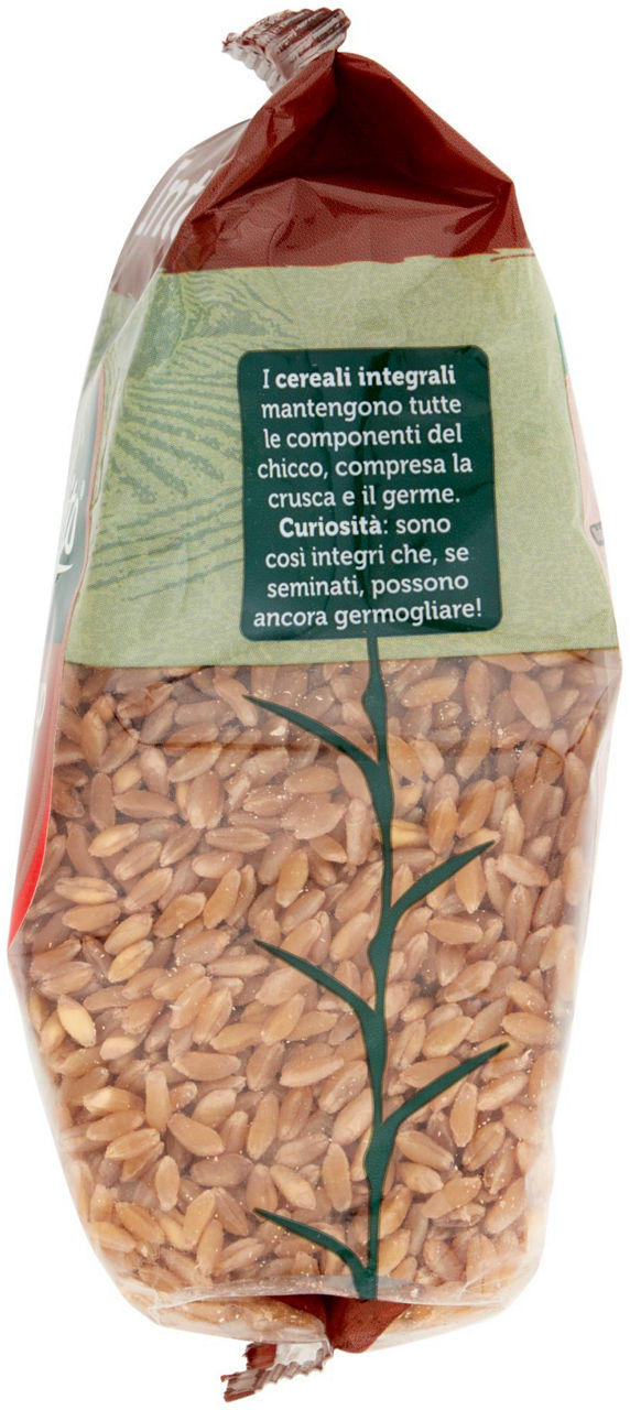 Grano duro integrale 350 gr - Immagine 31