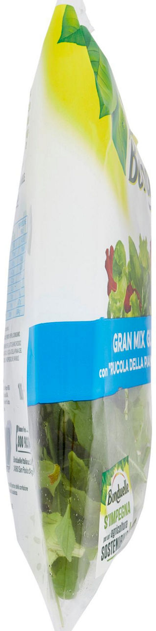 Insalata gran mix gustoso 100 gr - Immagine 11