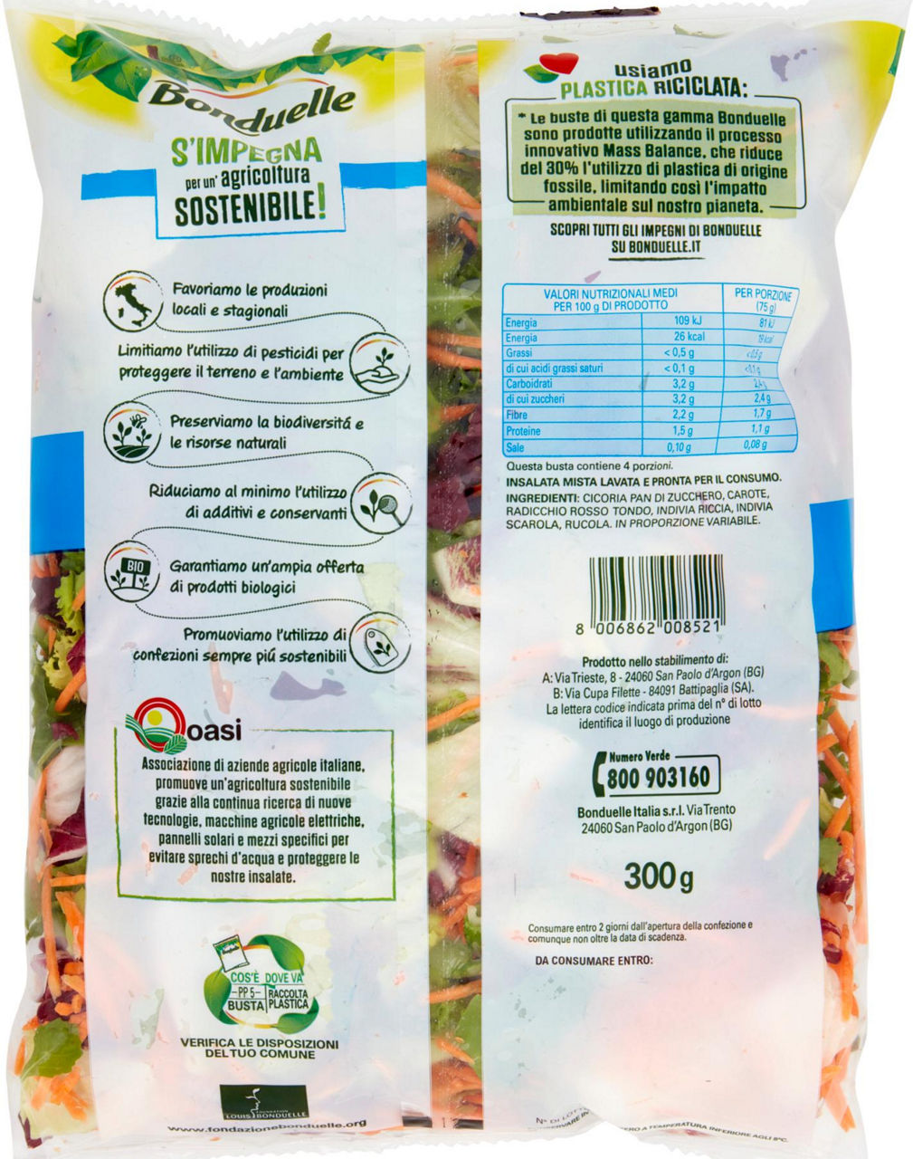 Insalata mix rustico 300 gr - Immagine 21