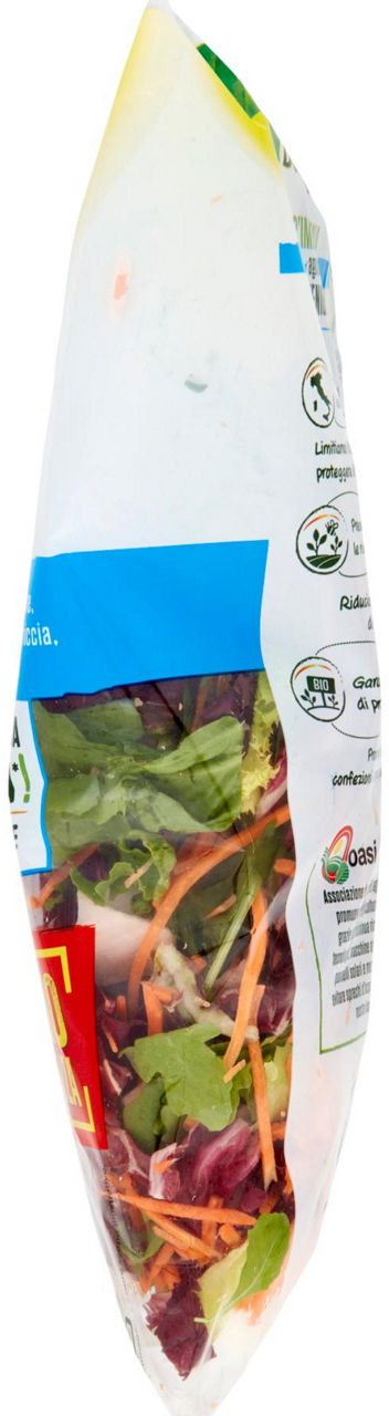 Insalata mix rustico 300 gr - Immagine 31