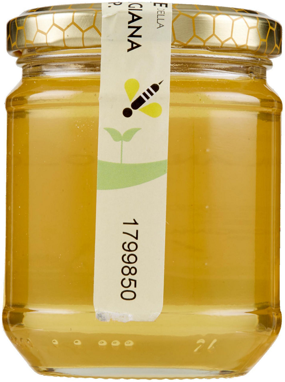 Miele della Lunigiana Bio D.O.P. Acacia 250 g - 2