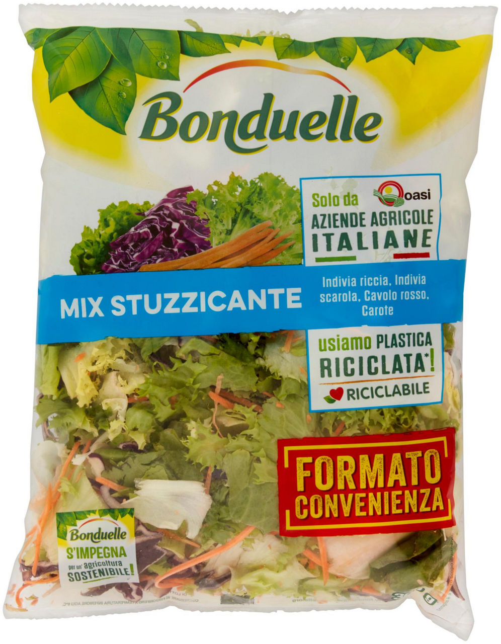 Insalata mix stuzzicante 300 gr