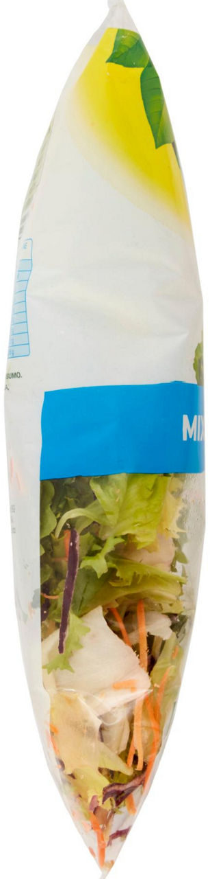 Insalata mix stuzzicante 300 gr - Immagine 11