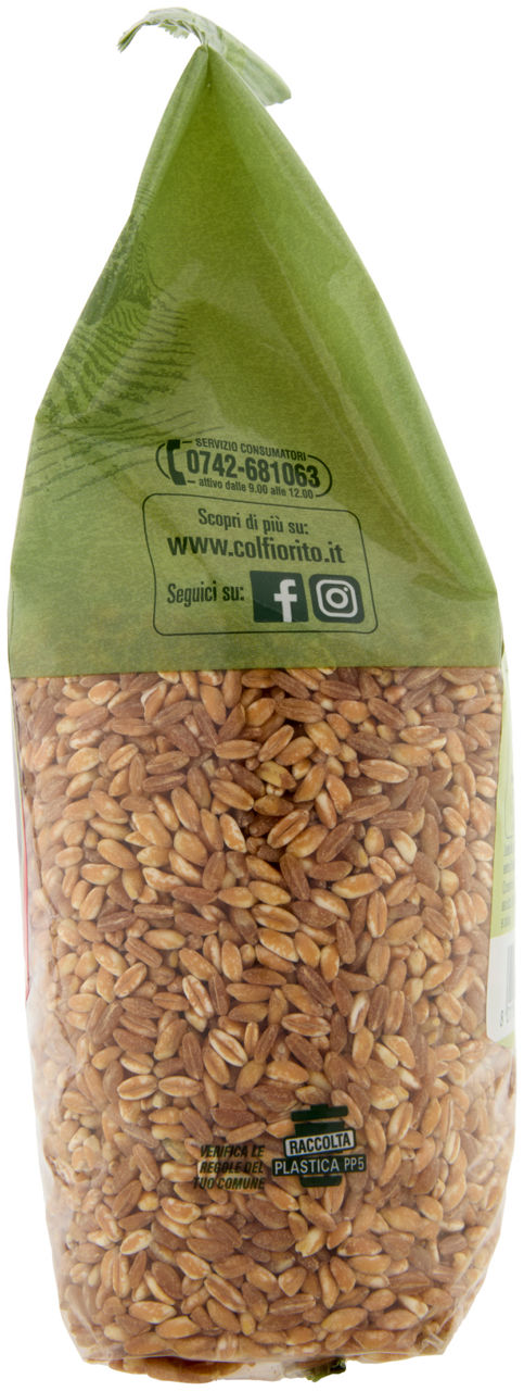 FARRO PERLATO ITALIA COLFIORITO SH G 800 - Immagine 31