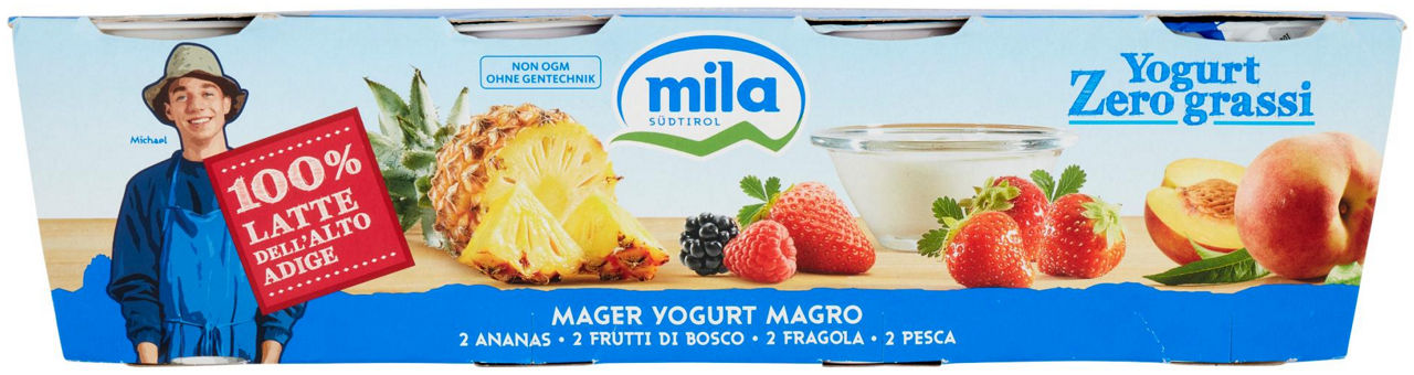 Yogurt magro zero grassi frutta assortita 8 pz da 125 gr - Immagine 51