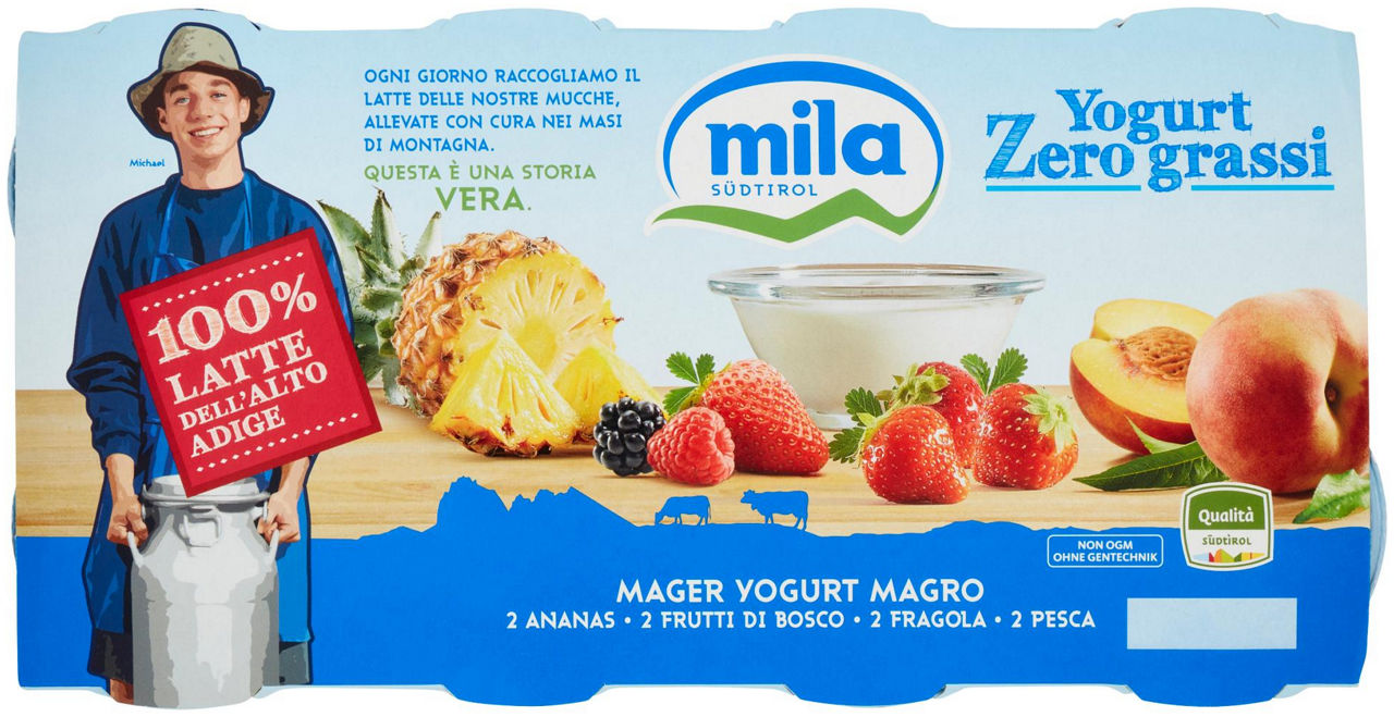 Yogurt magro zero grassi frutta assortita 8 pz da 125 gr
