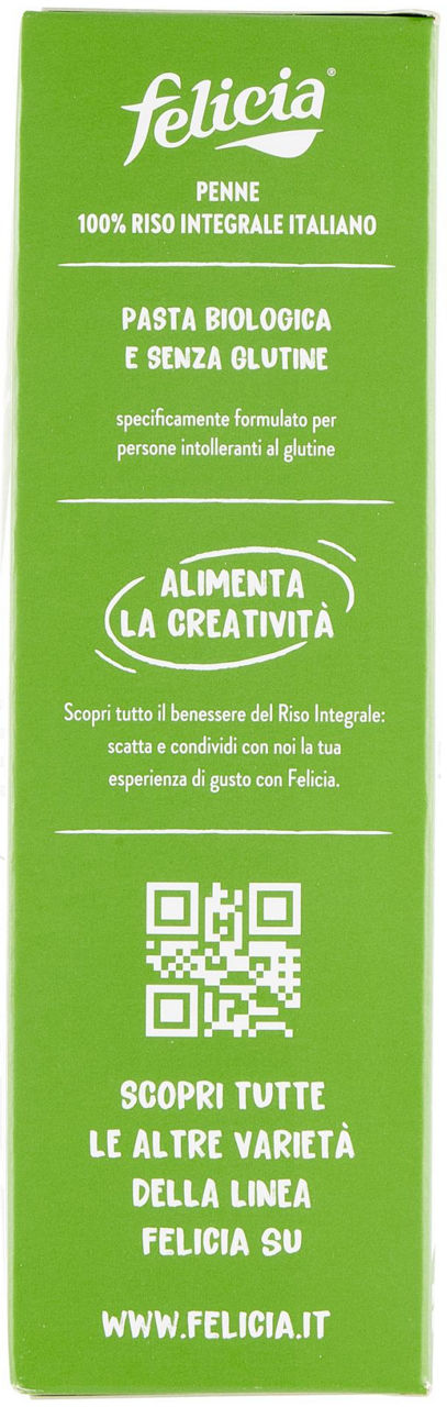 PASTA DI RISO INTEGRALE PENNE RIGATE SENZA GLUTINE BIO FELICIA G 340 - Immagine 11