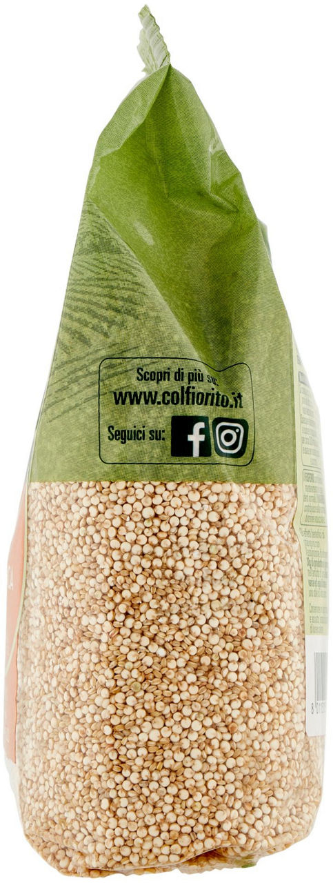Semi di quinoa 400 gr - Immagine 31